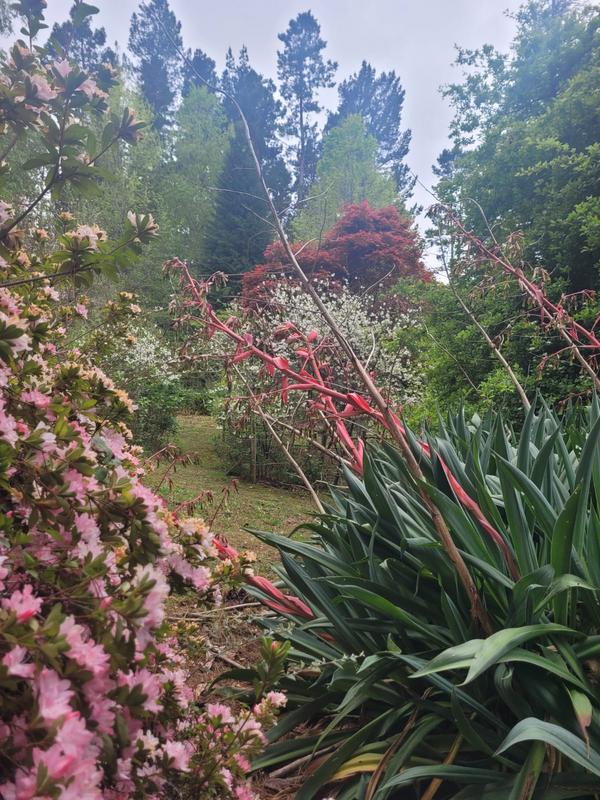 3 Bedroom Property for Sale in Hogsback Eastern Cape